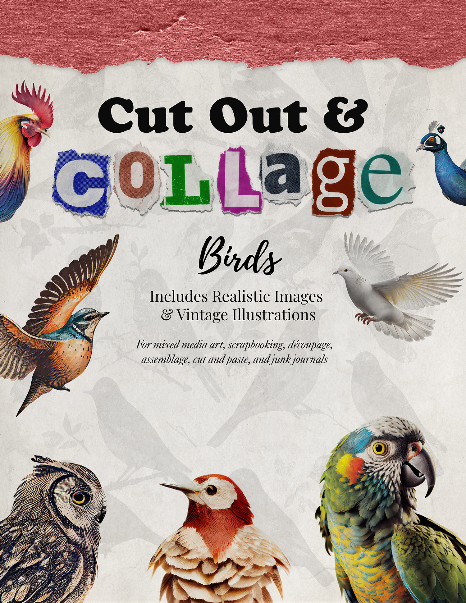 Cut Out and Collage: Birds — Figgy Designs