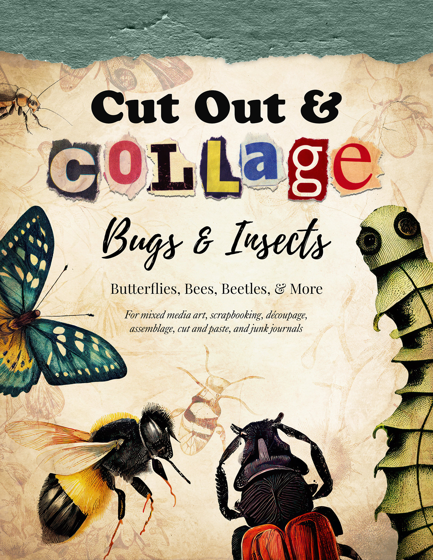 Cut Out and Collage: Bugs and Insects — Figgy Designs